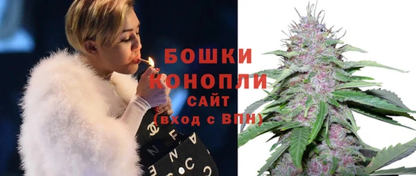 тгк Богородицк