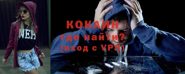 ПСИЛОЦИБИНОВЫЕ ГРИБЫ Богданович