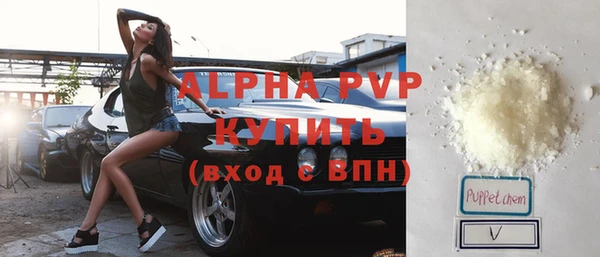 ПСИЛОЦИБИНОВЫЕ ГРИБЫ Богданович