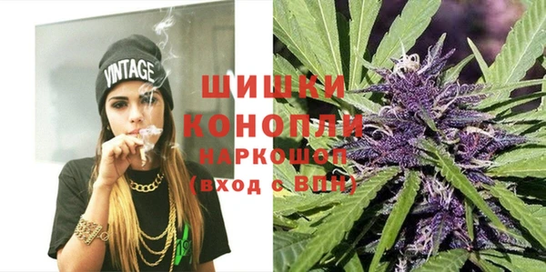 стафф Богородск