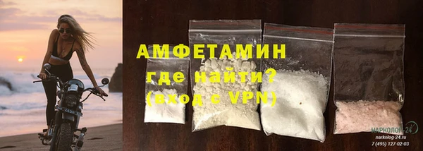 ПСИЛОЦИБИНОВЫЕ ГРИБЫ Богданович