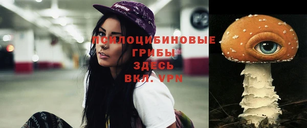 стафф Богородск