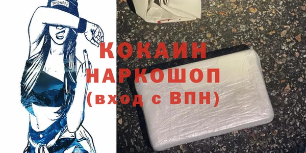 ПСИЛОЦИБИНОВЫЕ ГРИБЫ Богданович