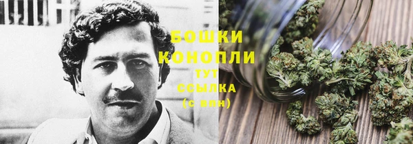 ПСИЛОЦИБИНОВЫЕ ГРИБЫ Богданович