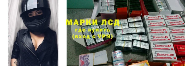 ПСИЛОЦИБИНОВЫЕ ГРИБЫ Богданович