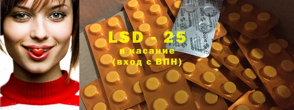 ПСИЛОЦИБИНОВЫЕ ГРИБЫ Богданович